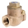 RS PRO Bronze Threaded Single Check Valve 3/4 in, 20 bar 510-3788