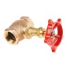 Pegler Yorkshire ASTM B584 C83600 Bronze Globe Valve Threaded 1/2 in Inlet 1 in Outlet 300 psi 406°F 110009