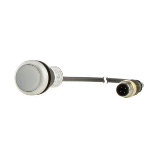 Eaton C22 Series Illuminated Push Button Actuator Panel Mount 22mm Cutout White 1 NO IP67 IP69K 181370 C22-DRL-W-K10-24-P5