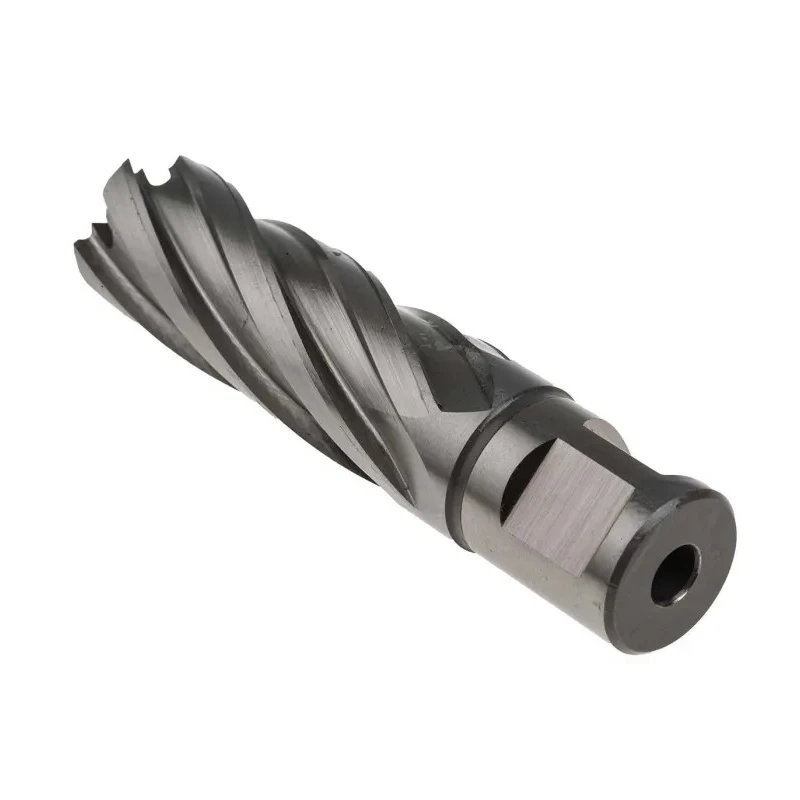 Rotabroach High Speed Steel 20 mm Cutter Diameter Magnetic Drill Bit RAPL200