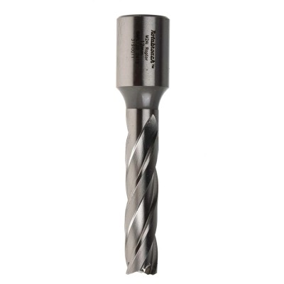 Rotabroach HSS Magnetic Drill Bit 12 mm Cutter Diameter, 25 mm Cutting Depth, Straight Flute RAPL120