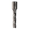 Rotabroach HSS Magnetic Drill Bit 12 mm Cutter Diameter, 25 mm Cutting Depth, Straight Flute RAPL120