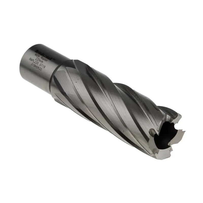 Rotabroach High-Speed Steel 22 mm Cutter Diameter Magnetic Drill Bit RAPL220