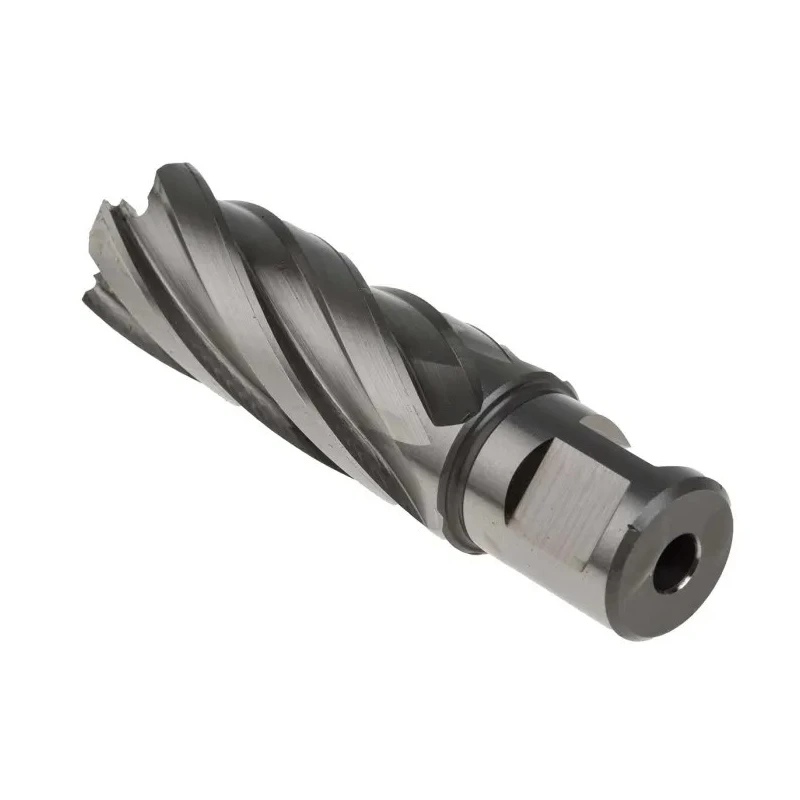 Rotabroach High-Speed Steel 22 mm Cutter Diameter Magnetic Drill Bit RAPL220