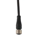 Brad from Molex Sensor Actuator Cable Female 5 Way Straight to Female Unterminated 2 m 250V 1200060647