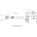 Brad from Molex Sensor Actuator Cable Female 5 Way Straight to Female Unterminated 2 m 250V 1200060647
