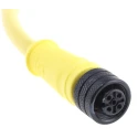 Brad from Molex Sensor Actuator Cable Male 4 Way Straight Connector to Unterminated Free End, Yellow PVC Jacket 1200060470