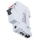 ABB Miniature Circuit Breaker 1-Pole 2A Type D 253V AC 72V DC 6kA Breaking Capacity 2CDS251001R0021 S201-D2