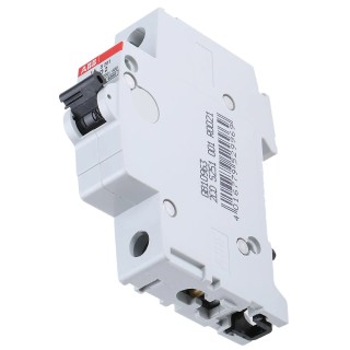 ABB Miniature Circuit Breaker 1-Pole 2A Type D 253V AC 72V DC 6kA Breaking Capacity 2CDS251001R0021 S201-D2