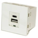 RS PRO Male 2 Gang Plastic Wall Mount USB Type C and USB Type-A Faceplate 36.1mm x 50mm 124-2518