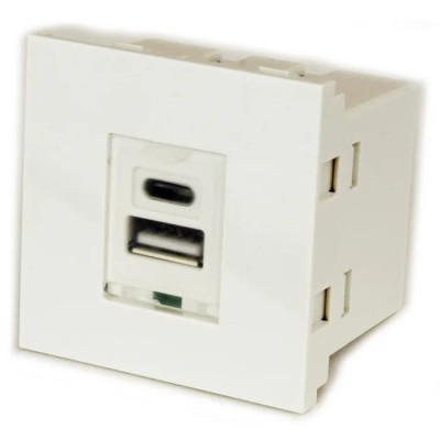 RS PRO Male 2 Gang Plastic Wall Mount USB Type C and USB Type-A Faceplate 36.1mm x 50mm 124-2518