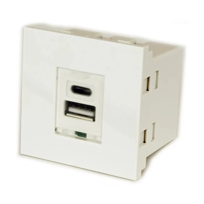 RS PRO Male 2 Gang Plastic Wall Mount USB Type C and USB Type-A Faceplate 36.1mm x 50mm 124-2518