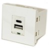 RS PRO Male 2 Gang Plastic Wall Mount USB Type C and USB Type-A Faceplate 36.1mm x 50mm 124-2518