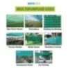 Mipatex 90% Shade Net 1.5m x 25m Multi-Purpose Green House Garden Sunlight Protection Balcony Cloth - Blocks UV Dust Protect F