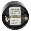 NEUTRAL 80 dB Panel Mount Fast Pulse Internal 33 mm Piezo Buzzer Component 6V dc Min 28V dc Max 535-8360