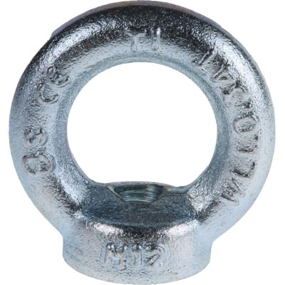 RS PRO Carbon Steel Eye Nut M12 Thread 54 mm Eye Outside Diameter 0.34t Working Load Zinc Plated 124-4842