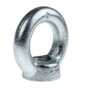 RS PRO Carbon Steel Zinc Plated Eye Nut M20 Thread 16 mm Thread Length 72 mm Eye Outside Diameter 1.2t Load 124-4844