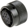 Amphenol Limited MIL Spec Circular Connector 8 Contacts Brass Straight 12 Shell Size Cable Mount, Model 62GB-56T12-08SN