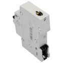 ABB ComPact Home Miniature Circuit Breaker 1-Pole 32A Type C 440V AC 60V DC 6kA Breaking Capacity SH200