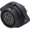RS PRO Circular Connector, 5 Contacts, Flange Mount, Socket Female, IP68, 10A, 500V, Threaded Mating, Polyamide 66 124-6679