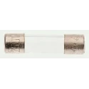Littelfuse 315mA F Glass Cartridge Fuse 5 x 20 mm, 250V AC, Fast Acting 0217.315MXP