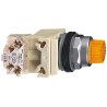 Schneider Electric Harmony 9001K Series Illuminated Push Button Switch, Spring Return, Panel Mount, 30 mm 9001K2L38LYAH13