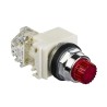 Schneider Electric Harmony 9001K Series Illuminated Push Button Switch, Spring Return, Panel Mount, 30 mm 9001K2L35LRRH13