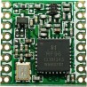 RF Solutions LoRa Module 433/868/915MHz ISM Band SPI Interface 3.3V-3.7V Power RFM95W-868S2