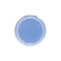 Schneider Electric Harmony XB4 Series Blue Spring Return Push Button Head, 22 mm Cutout, IP67, IP66 ZB4BP6