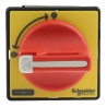 Schneider Electric 3-Pole Door Mount Isolator Switch, IP65, 8.1A, 7.5 kW