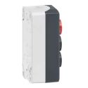 Schneider Electric Harmony Series Enclosed Push Button, Spring Return, Polycarbonate, Red Green, IP66 IP67 XALD363B