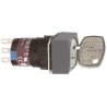 Schneider Electric Selector Switch Black Handle Stay Put, 2 Positions XB6ECD222P