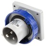 Scame Optima IP67 Blue Panel Mount 2P+PE Straight Industrial Power Connector 16A 230V IP67