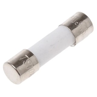 RS PRO 500mA T Ceramic Cartridge Fuse 5 x 20 mm 250V AC Time Delay 610-9759