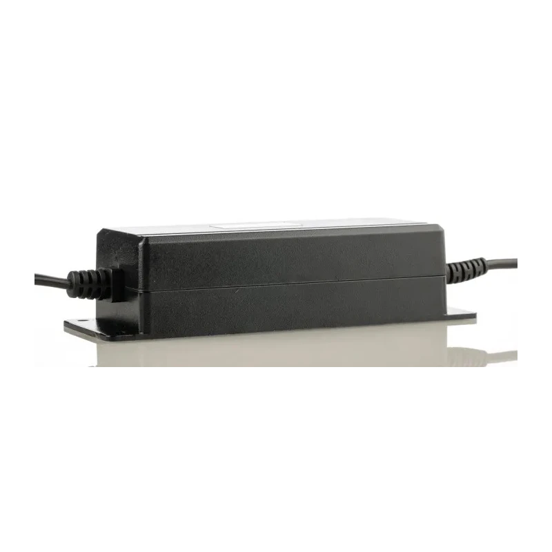 RS PRO AC/DC Adapter Fixed Bare end 60 W 24V DC Output, 2.5 A 125-4248