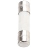 RS PRO 5A T Ceramic Cartridge Fuse, 5 x 20 mm, Time Delay, 250V AC, Ceramic Body 610-9816