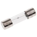RS PRO 4A T Glass Cartridge Fuse 5 x 20 mm 250V AC Time Delay Glass Body 610-9995