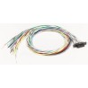 Glenair 25 Way Straight Through Hole Micro-D Female D-Sub Connector with Jack Screw MWDL25S-6E5-18B