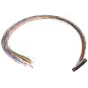 Glenair MWDM 37 Way Straight Through Hole Micro-D Female Connector with Jack Screw MWDM2L-37S-6E5-18B