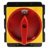 Eaton 3-Pole Panel Mount Isolator Switch, Red Handle, IP65, 125A, 45 kW, Rotary Actuator, Series P5-125
