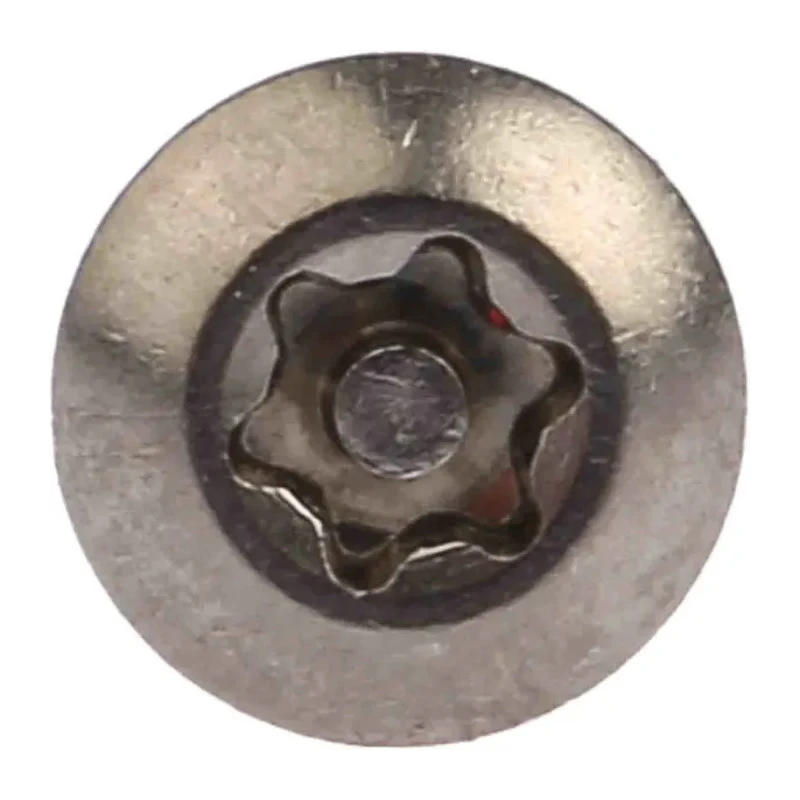 NEUTRAL Plain Stainless Steel Button Tamper Proof Security Screw M5 x 12 mm 621-2681