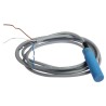 SICK Threaded Barrel Capacitive Proximity Sensor CM 12 mm, M18 x 1 PNP 200 mA 36 V DC CM18-12NPP-EW1