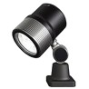 Waldmann ROCIA.focus RFJ 600/850/S LED Machine Light 8 W 12 V ac 28 V ac 12 V dc 40 V dc Black 70 mm 113185000-00668613