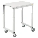 Treston Steel Castor Trolley 500 mm Platform Width 700 mm Load Capacity 150 kg Adjustable Height SAP507 ESD
