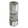 Mersen 80A FF Ceramic Cartridge Fuse Protistor Series, 22 x 58 mm, 700V AC E1018559 / FR22GR69V80