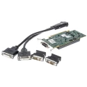 Matrox PCIe x16 Graphics Card with 512 MB DDR2 Memory, VGA and DVI Output M9120-E512LPUF