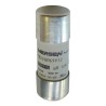 Mersen 100A FF Ceramic Cartridge Fuse, 22 x 58 mm, 700V AC, Super Fast Acting Protistor Series F1018560 / FR22GR69V100