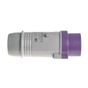 Scame IEC309 IP44 Purple Cable Mount 3P Straight Industrial Power Connector 16A 20-25V 230.1604