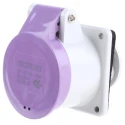Scame 16A 25V IP44 Purple Panel Mount Industrial Power Connector 2 Pole IEC309 IP44