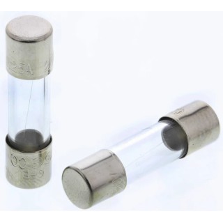 RS PRO 250mA Fast Acting Glass Cartridge Fuse 5 x 20 mm 250V AC 668-5953